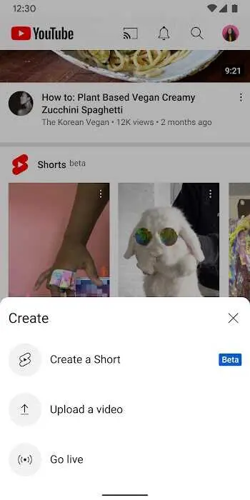 Youtube Premium Apk