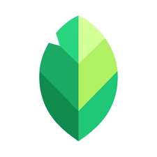 Snapseed Mod Apk Logo